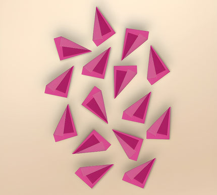 Poem Magenta 15'li Set Duvar Aksesuarı