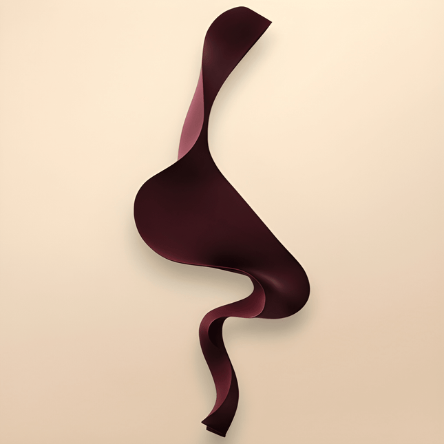 S Wave Bordo Duvar Aksesuarı