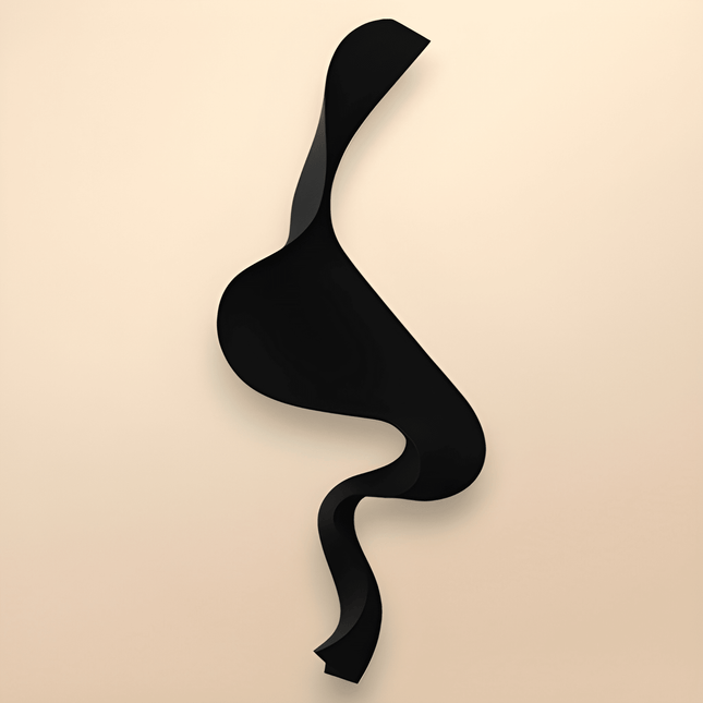 S Wave Siyah Duvar Aksesuarı