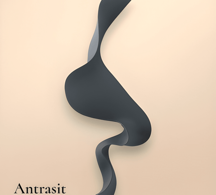 S Wave Duvar Aksesuarı