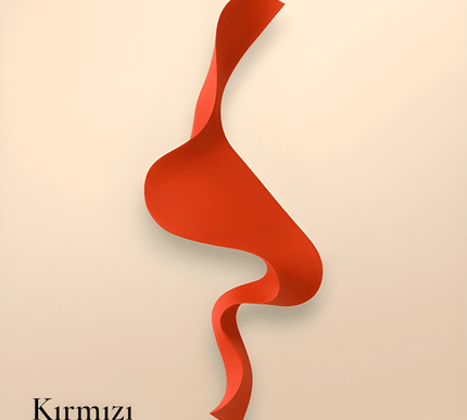 S Wave Duvar Aksesuarı